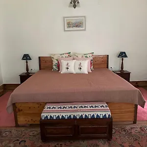 dimple-lodge-shimla.shimlahotels.net/